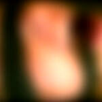 feim0444